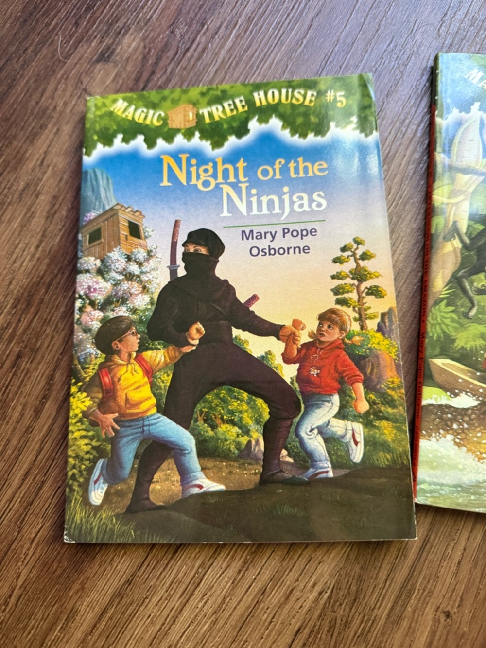 Magic tree house box set - Picture 3 of 6